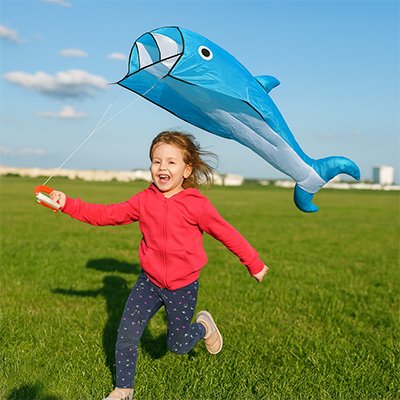 Cerf volant_1