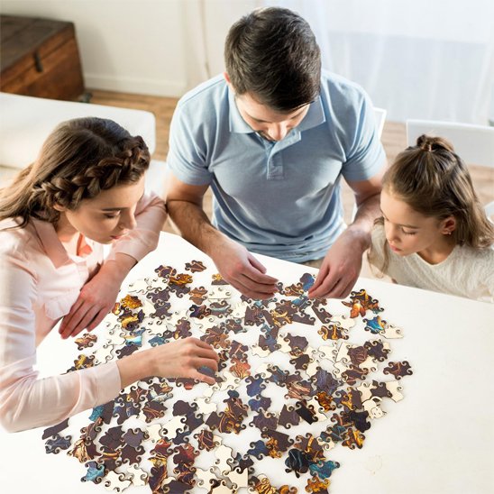 Puzzle 1000 pièces_2