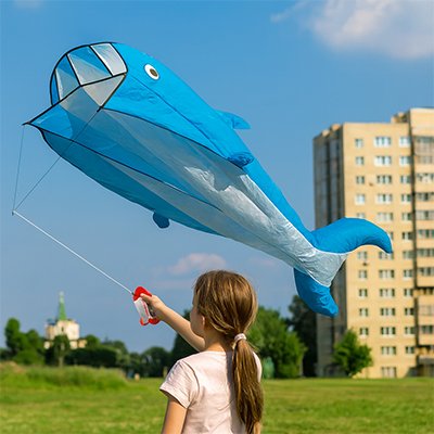 Cerf volant_3